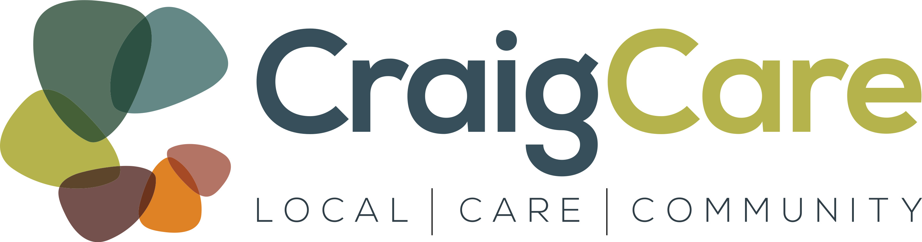 img/craigcarelogo.jpg